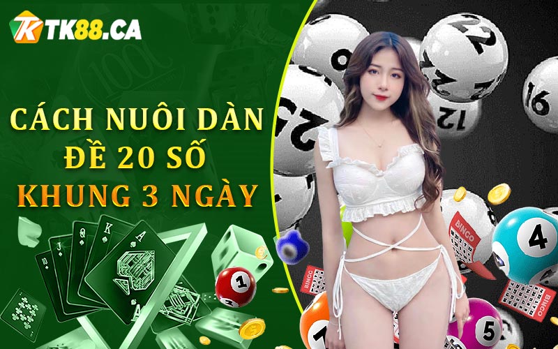 Cách nuôi dàn đề 20 số khung 3 ngày