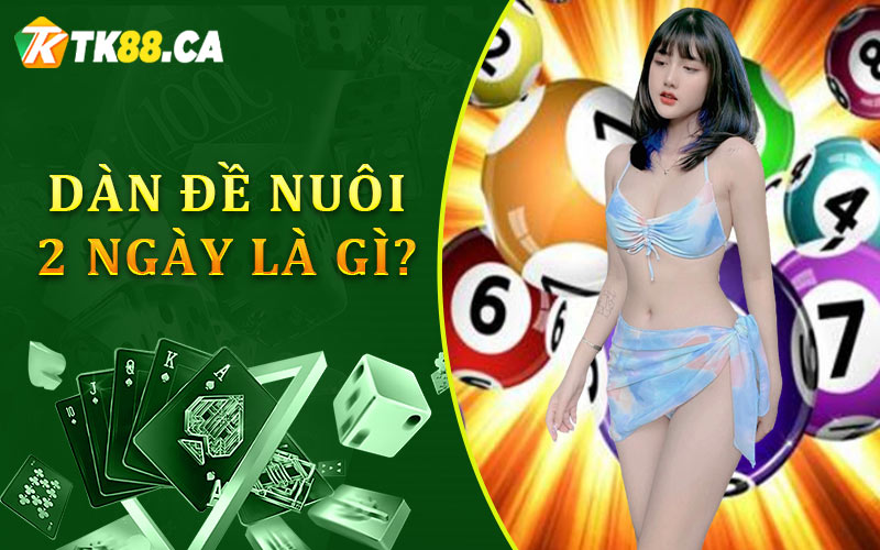 Dàn đề nuôi 2 ngày có nghĩa là gì?