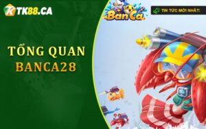 Tổng quan về Banca28